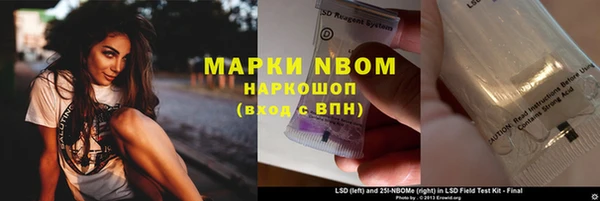 гидра Алексеевка