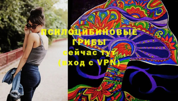 гидра Алексеевка