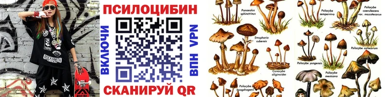 Галлюциногенные грибы Cubensis  Заозёрный 